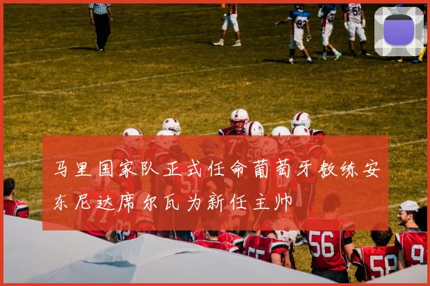 马里国家队正式任命葡萄牙教练安东尼达席尔瓦为新任主帅
