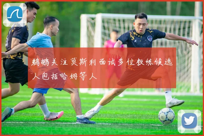 鹈鹕关注莫斯利面试多位教练候选人包括哈姆等人